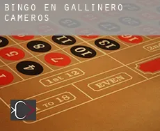 Bingo en  Gallinero de Cameros