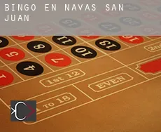 Bingo en  Navas de San Juan