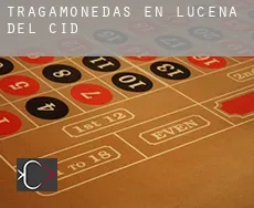 Tragamonedas en  Lucena del Cid