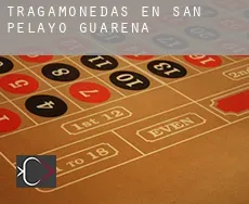 Tragamonedas en  San Pelayo de Guareña