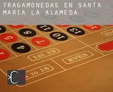 Tragamonedas en  Santa María de la Alameda
