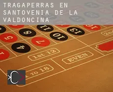 Tragaperras en Santovenia de la Valdoncina
