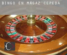 Bingo en  Magaz de Cepeda