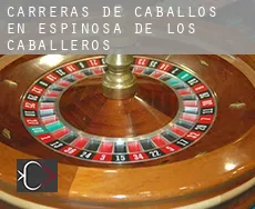 Carreras de caballos en  Espinosa de los Caballeros