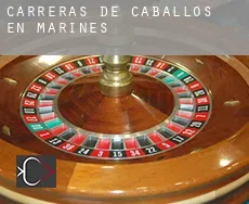 Carreras de caballos en  Marines