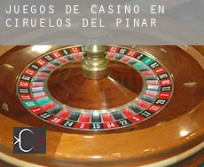 Juegos de casino en Ciruelos del Pinar
