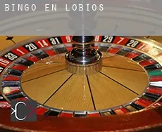 Bingo en Lobios