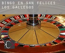 Bingo en  San Felices de los Gallegos