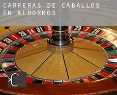 Carreras de caballos en Albornos
