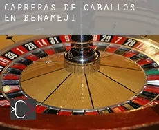Carreras de caballos en  Benamejí