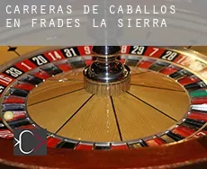 Carreras de caballos en  Frades de la Sierra