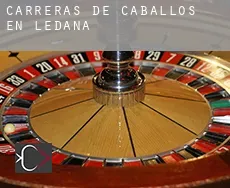 Carreras de caballos en  Ledaña