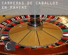 Carreras de caballos en Pavías