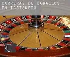 Carreras de caballos en  Tartanedo