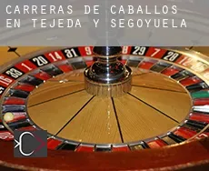 Carreras de caballos en  Tejeda y Segoyuela