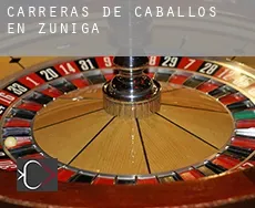 Carreras de caballos en  Zúñiga