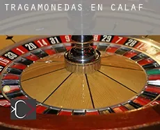 Tragamonedas en  Calaf