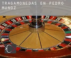 Tragamonedas en  Pedro Muñoz