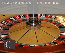 Tragamonedas en  Pruna