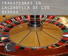 Tragaperras en  Calzadilla de los Barros