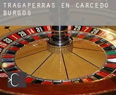 Tragaperras en  Carcedo de Burgos