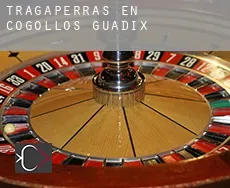 Tragaperras en Cogollos de Guadix