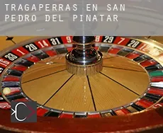 Tragaperras en  San Pedro del Pinatar
