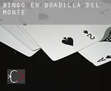 Bingo en Boadilla del Monte