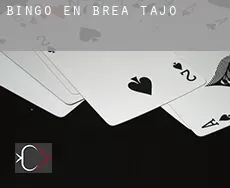 Bingo en  Brea de Tajo