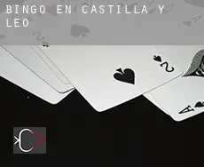 Bingo en Castilla y León