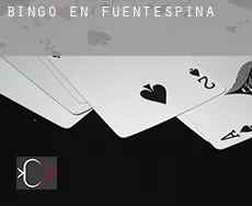 Bingo en Fuentespina