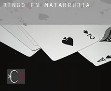 Bingo en  Matarrubia