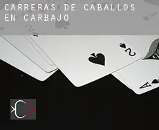 Carreras de caballos en  Carbajo