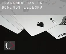 Tragamonedas en Doñinos de Ledesma