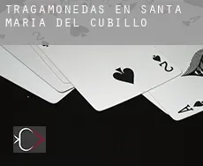 Tragamonedas en Santa María del Cubillo