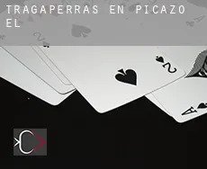 Tragaperras en  Picazo (El)