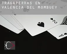 Tragaperras en Valencia del Mombuey