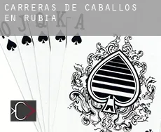 Carreras de caballos en  Rubiá