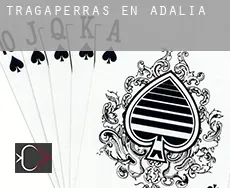 Tragaperras en  Adalia