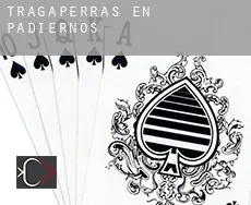 Tragaperras en  Padiernos