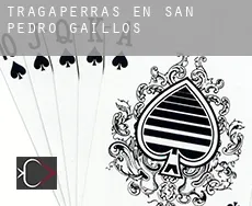 Tragaperras en  San Pedro de Gaíllos