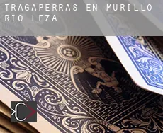 Tragaperras en Murillo de Río Leza