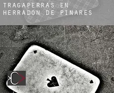Tragaperras en Herradón de Pinares