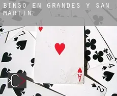 Bingo en Grandes y San Martín