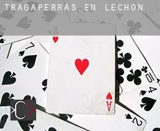 Tragaperras en  Lechón