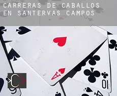 Carreras de caballos en  Santervás de Campos