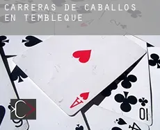 Carreras de caballos en  Tembleque