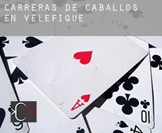 Carreras de caballos en  Velefique