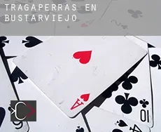 Tragaperras en  Bustarviejo