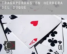 Tragaperras en  Herrera del Duque